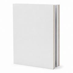 cleanroom wall panels