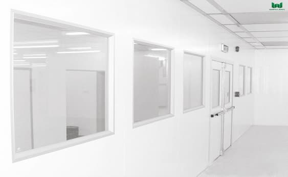 Single or Double: Choosing Cleanroom  Vision  Windows